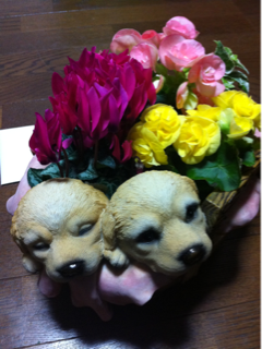 image-20111130092203.png